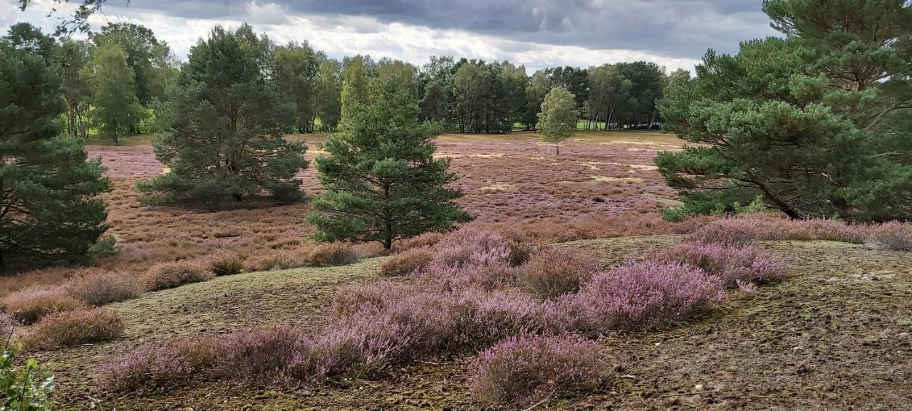 De Luet Ferienhof Jameln Eksteriør bilde